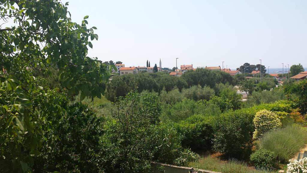Guest House Jole Rovigno Camera foto