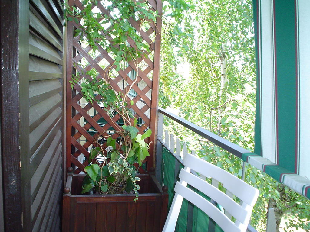 Guest House Jole Rovigno Camera foto