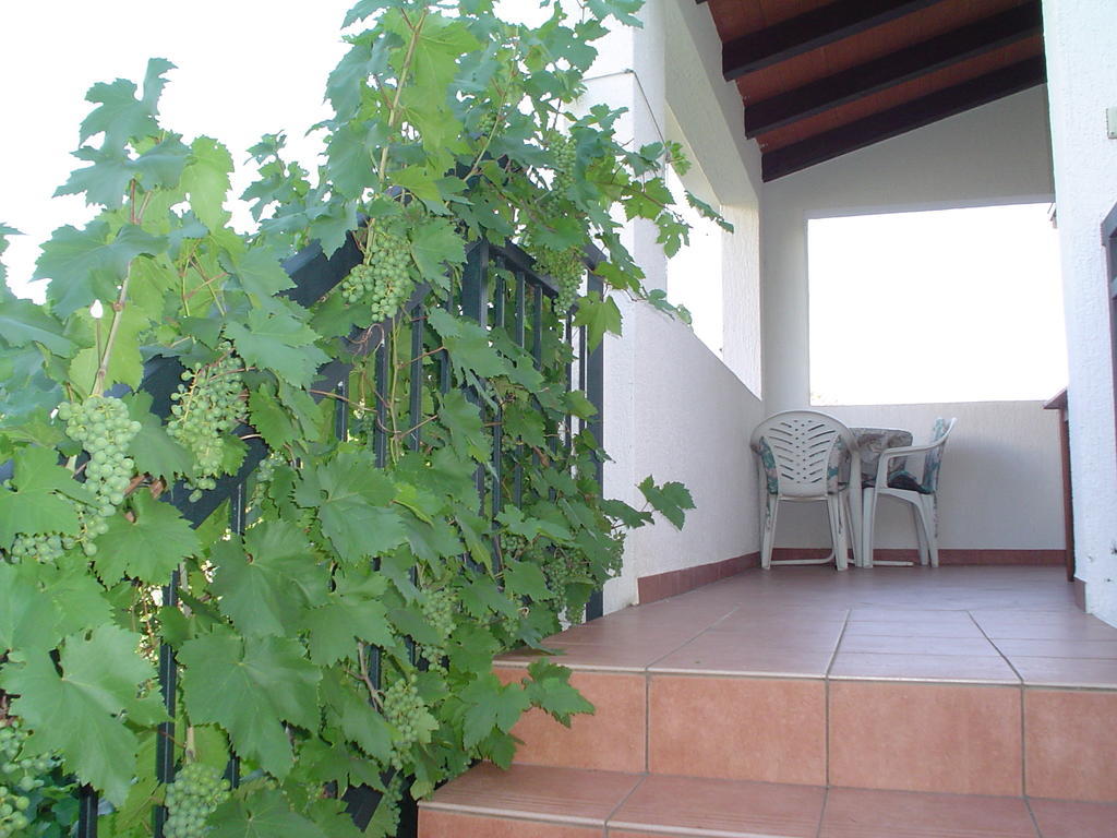 Guest House Jole Rovigno Esterno foto