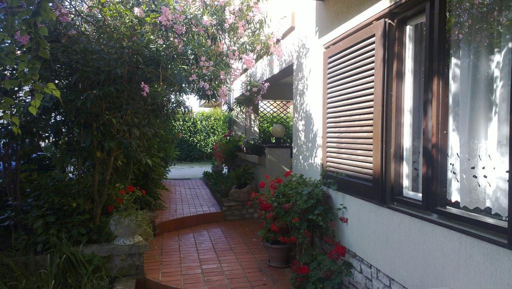 Guest House Jole Rovigno Esterno foto
